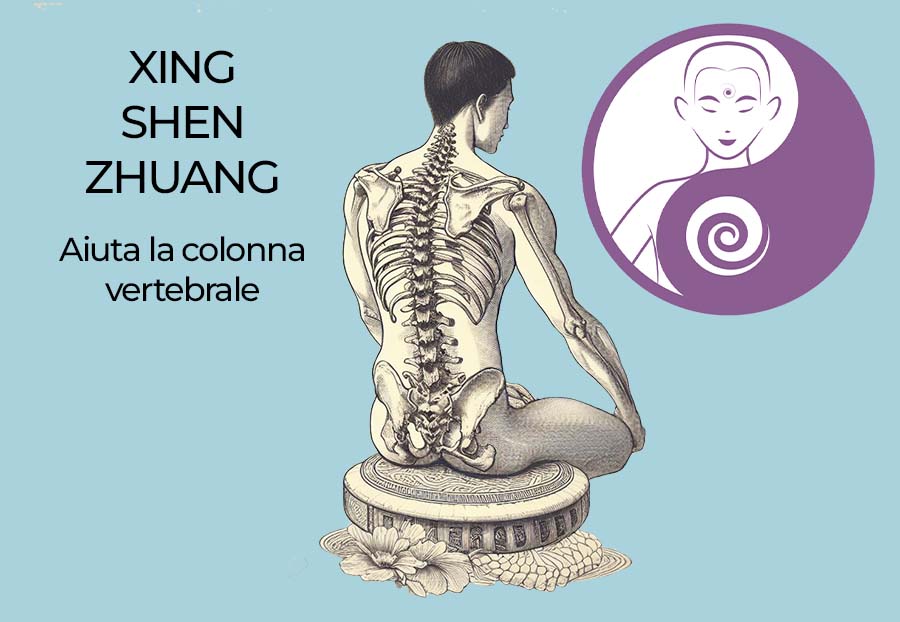 Cinque modi in cui la Xing Shen Zhuang aiuta la tua colonna vertebrale