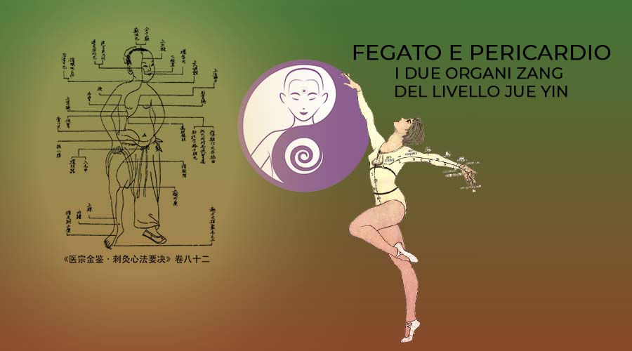 Livello Jue Yin: la sua relazione con il Sangue, il Qi e la capacità di curare