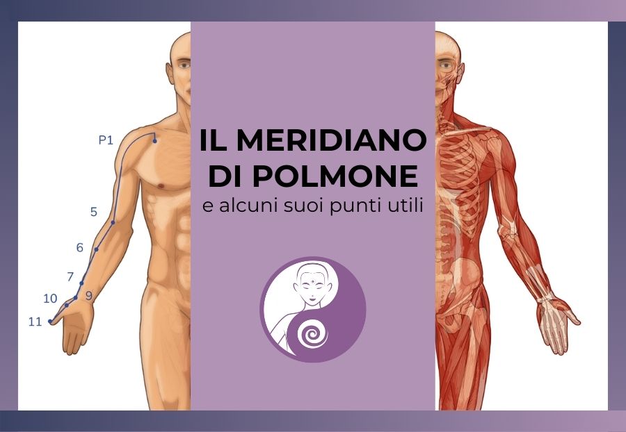 Il Meridiano di Polmone in medicina cinese e quattro punti utili per stimolarlo