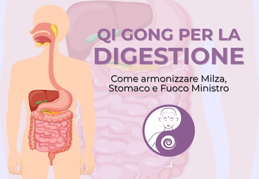 Qi Gong per la Digestione: come armonizzare Milza, Stomaco e Fuoco Ministro (e sostenere il Pancreas)